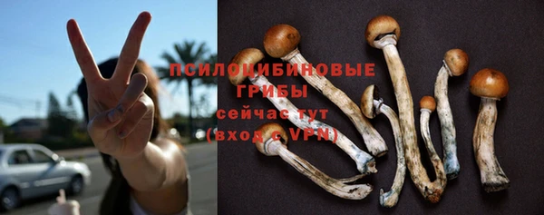 ALPHA PVP Семёнов