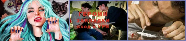 винт Алзамай