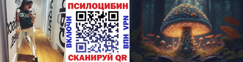Купить  Бикин  Псилоцибиновые грибы ЛСД 